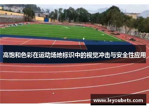 高饱和色彩在运动场地标识中的视觉冲击与安全性应用